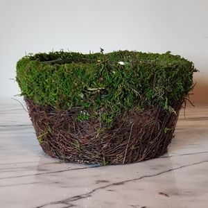 Moss Rimmed Basket with Plastic Liner